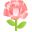 母亲节
