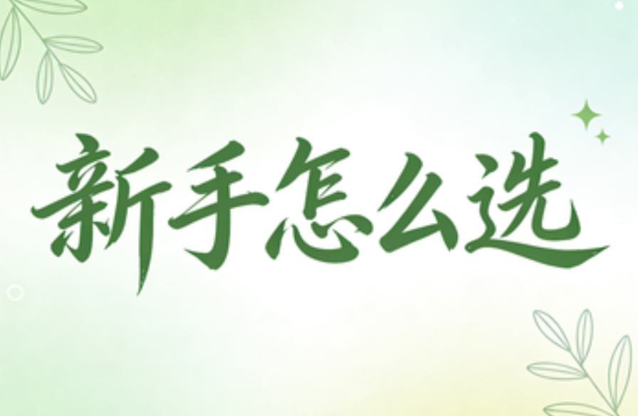 2024年公众号SVG排版工具深度测评：从新手到专家的进阶指南