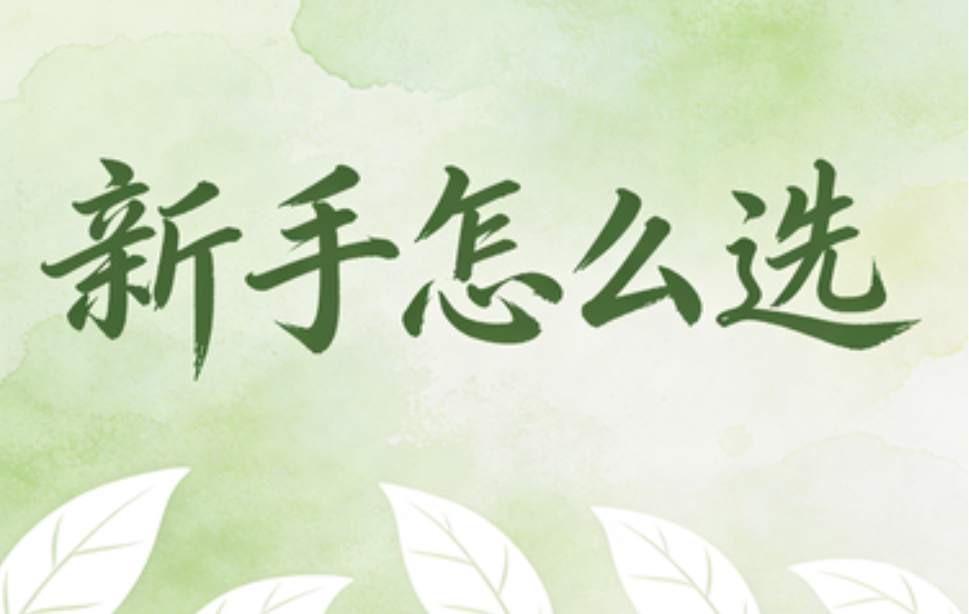 2026年新手必看：3步免费领取小墨鹰编辑器VIP体验 | 公众号排版神器